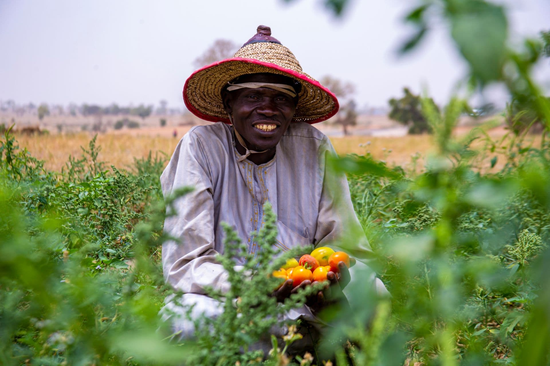 Smiling farmer holding freshly harvested tomatoes